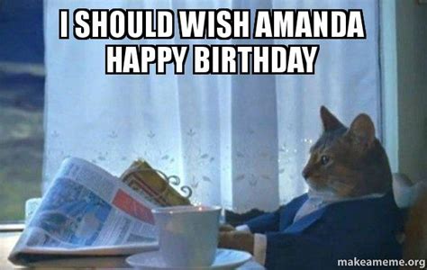 amanda happy birthday sophisticated cat   meme