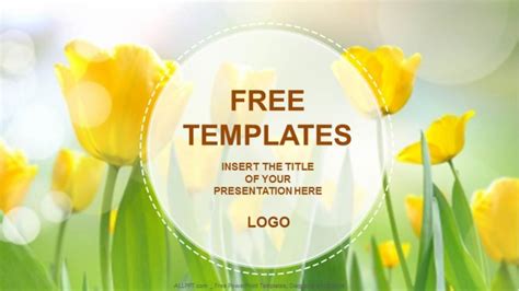 Yellow Tulips Nature Powerpoint Templates Download Free