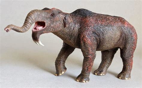 17 Best Images About Prehistoric Elephants And Mammoths On