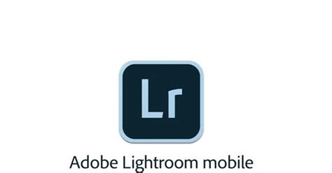 Fungsi Tools Pada Adobe Lightroom Mobile Desainku
