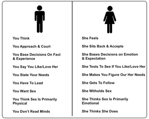The Difference Between The Male And Female Brain Men Versus Women