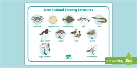 New Zealand Estuary Creatures Word Mat