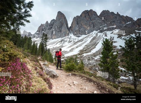 Funes Valley Dolomites South Tyrol Italy Hiker Admires The Peaks Of