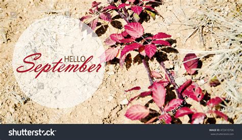 Hello September Wallpaper Autumn Background Red Stock Photo 472410706