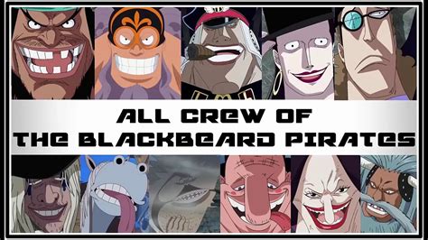 One Piece All Crewmember Of The Blackbeard Pirates Youtube