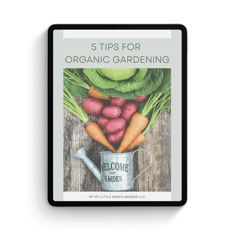 5 Tips For Organic Gardening