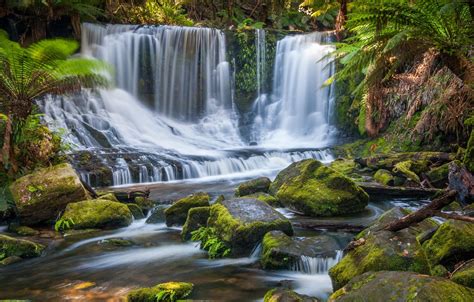 Wallpaper Forest River Stones Waterfall Moss Australia Cascade