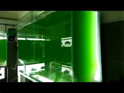 Indoor Algae Cultivation Youtube