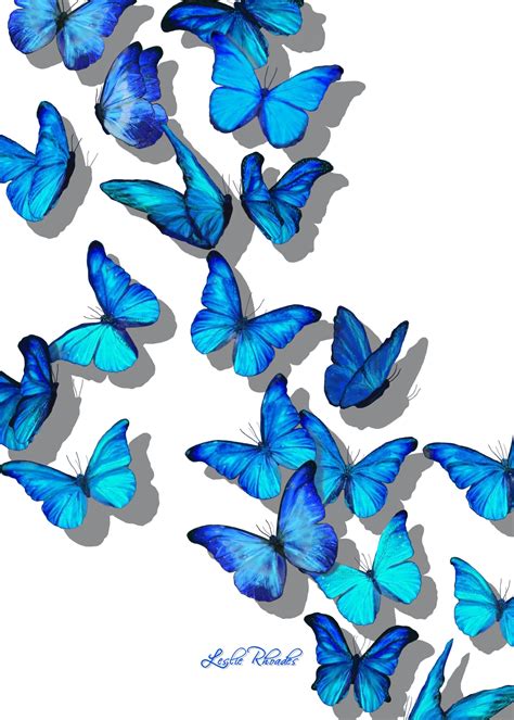 Wallpaper Aesthetic Blue Butterfly Tourolouco