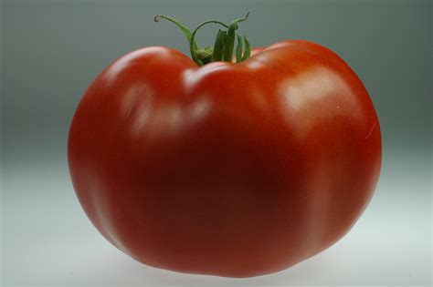 Big zac is a gigantic and very delicious tomato that normally reaches 4 lbs. What's in Season from the Garden State: Jersey Tomato ...