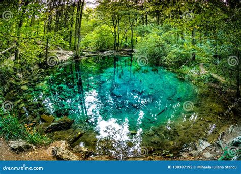 Beautiful Pond In The Woods Forest Lake Ochiul Beiului Famous By It S