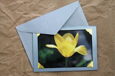making greeting cards with photos and some pictures of our flowers loulou downtown