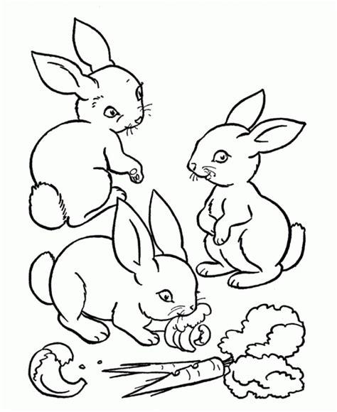 These coloring pages include images of the easter bunny dying eggs, hopping around, holding easter eggs, hanging out with kids, and having all kinds of fun. Three Rabbits eating carrots coloring pages - Letscolorit ...