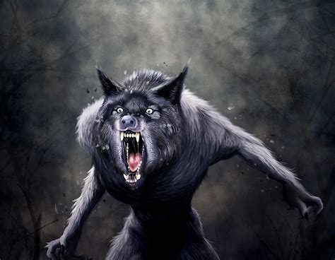 Do You Believe In Werewolves Werewolves