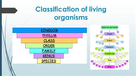The Variety Of Living Organisms Online Presentation