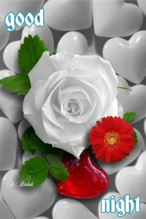 Romantic relationship beautiful flowers for her. Épinglé sur Good Night