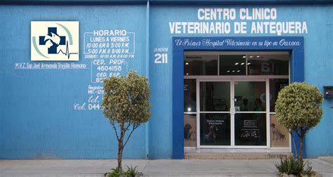centro clinico veterinario de antequera el primer