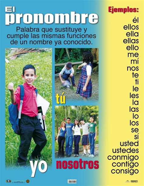 Afiches De Español Tamaño 17 X 22 Estándar Dominio De La Lengua