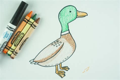 ️ How To Draw A Duck