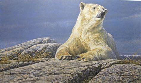 Art Country Canada ROBERT BATEMAN Summertime Polar Bear Limited