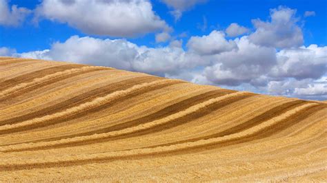 云下的麦田，西班牙巴利亚多利德 © Carlos Javier García Prietoeyeemgetty Images 必应