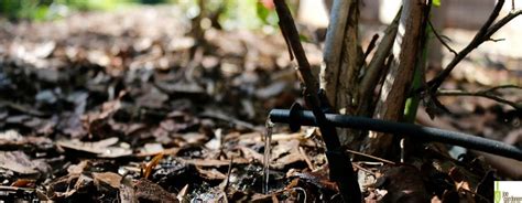 Plus, the advantage of milorganite is it is a slow release organic material. How to Create a Sustainable Landscape | Milorganite