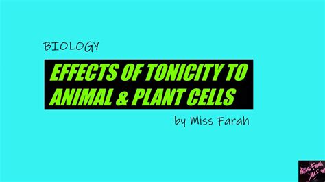 Animal cell in hypotonic solution plant cells. ANIMAL & PLANT CELLS IN HYPOTONIC, ISOTONIC & HYPERTONIC ...