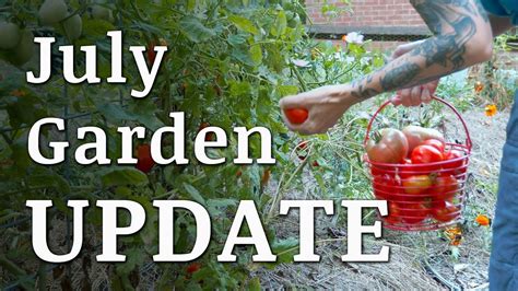 Our July Garden Update Youtube