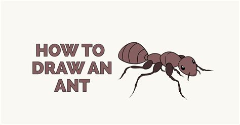 How To Draw A Cartoon Ant Easy This Is Easy And Beginners Can Do It