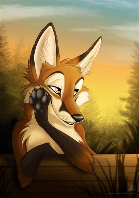 74 Best Fox Images On Pinterest Foxes Furry Art And Fox