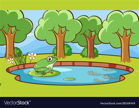 Scene With Green Frog In Pond Royalty Free Vector Image