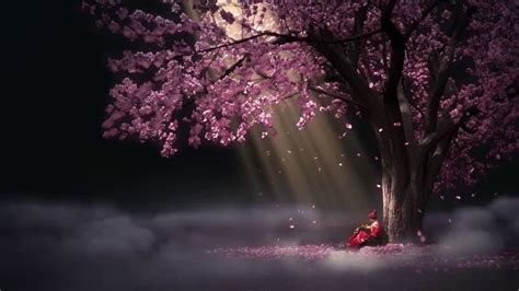 Sakura Aesthetic Wallpapers Top Free Sakura Aesthetic Backgrounds