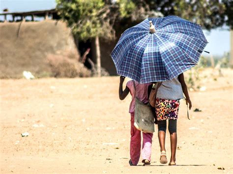 Deadly Heatwaves Are Intensifying Say Ocha And Ifrc In A Joint Report