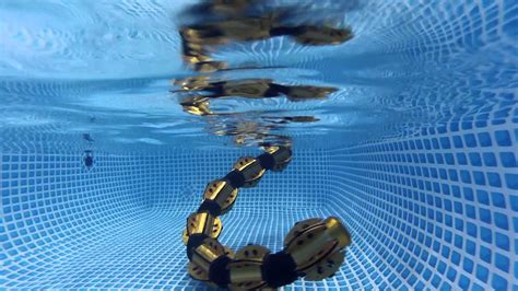A Slithering Snake Robot That Can Swim Underwater With Unsettling Ease
