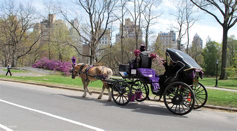 Central Park Horse And Carriage Rides New York City Klook Singapore
