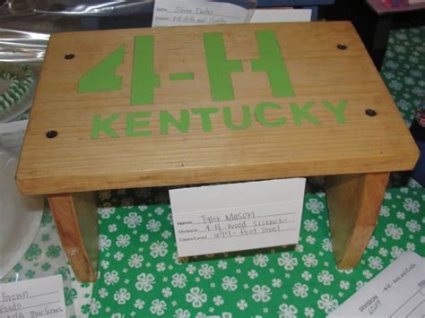 My Nephews Stool He Made For 4 H Woodworking 4 H Projects Woodworking