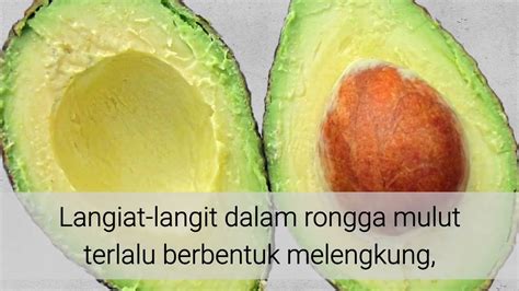 Tapi ibu hamil bisa bingung, buah mana yang baik untuk dikonsumsi? Vitamin Ibu Hamil 6 Bulan - Info Kesehatan