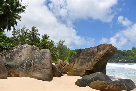 Coastline Island Tour Mahé 2023 Alles Wat U Moet Weten Voordat Je Gaat Tripadvisor