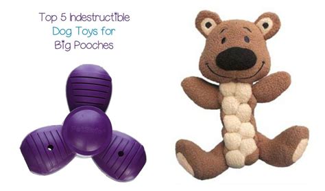 The 5 Most Indestructible Dog Toys Dogvills