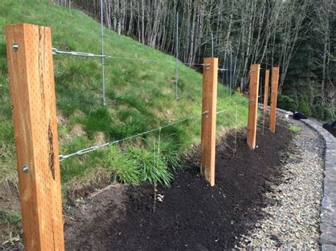 Perhaps the simplest of grape trellis designs is what is known as a high cordon system (or high wire cordon system; Photo Gallery | Grape trellis, Grape vine trellis, Vine ...