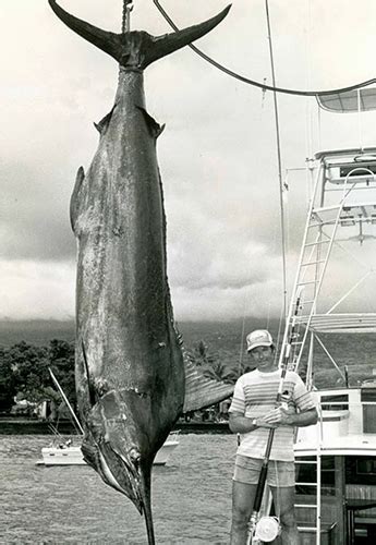 Biggest Marlin Ever Caught The Largest In The World