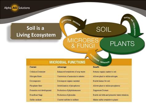 Briefly describe the layers of the earth's interior. PPT - Sustainable Agriculture & Soil Management PowerPoint ...