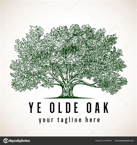 Oak Tree Logo Design