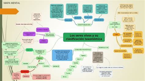 Mapa Conceptual De Taxonomia De Los Seres Vivos Rudenko