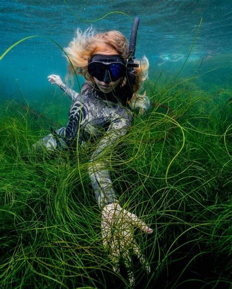 Spearfishing Freediving Underwater Hair Underwater