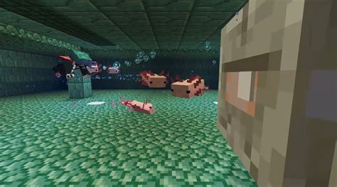 Minecraft Axolotl Mob Everything We Know Pc Gamer