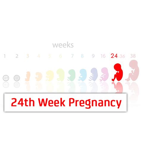 Pregnancy Week By Week Symptoms Baby Development And Body Changes