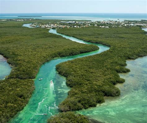 Florida Keys National Marine Sanctuary Restoration Blueprint Cca Florida