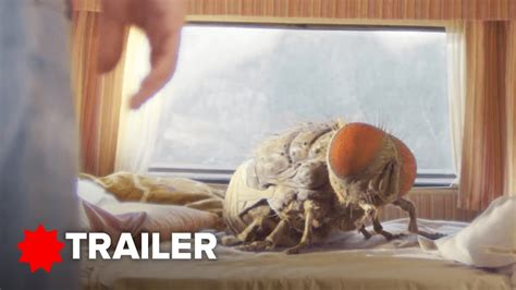 Mandibles Trailer Ad Le Exarchopoulos Quentin Dupieux Comedy Movie Movie Magazine