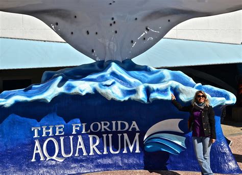The Florida Aquarium Review Tampa Florida